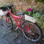 Bicycle planter in Ambra Vale, Bristol