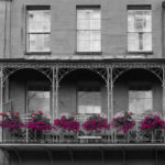 Flowers on balcony in West Mall, Clifton, Bristol
