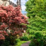 Bristol Cathedral Garden