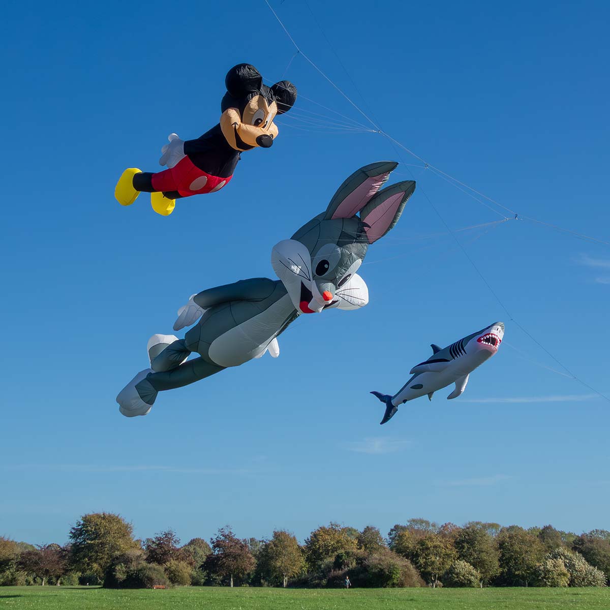Mickey Mouse, Bugs Bunny and Great White Shark kites flying over Durdham Down in Bristol.